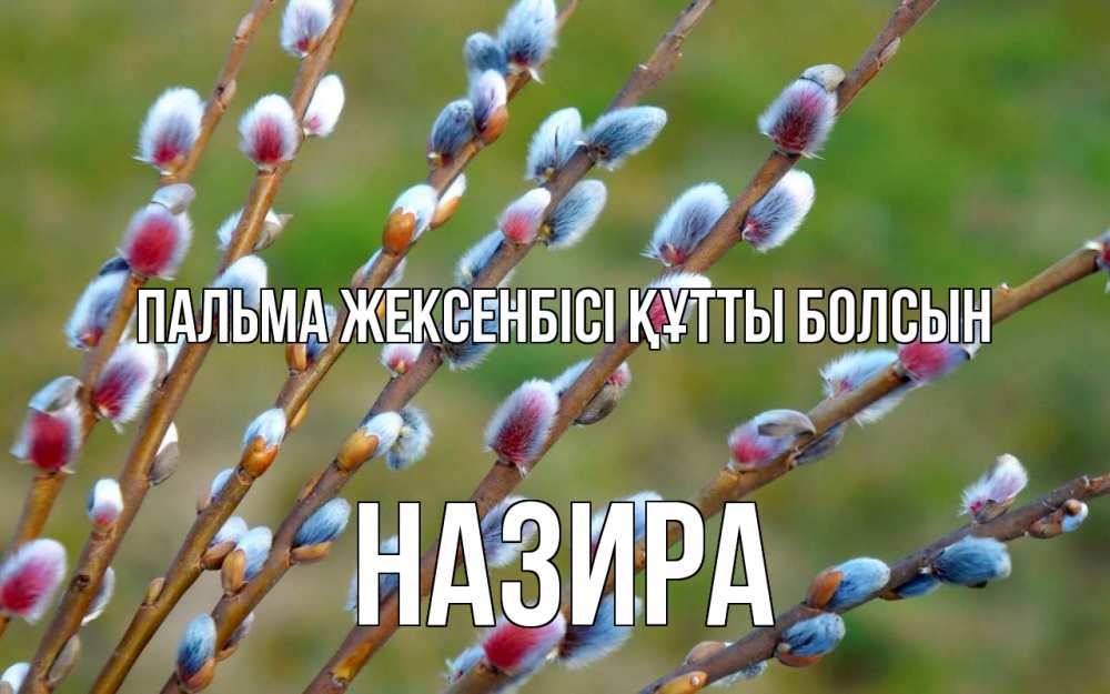 Күн сайын ашық хат с именем, Назира Пальма жексенбісі құтты болсын верба Онлайн тегін жүктеп алу тілектері бар керемет карта 