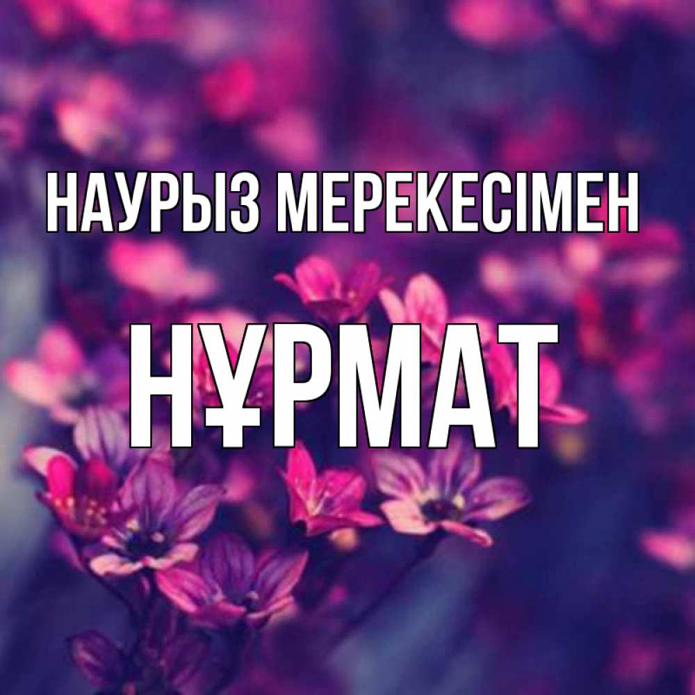 Күн сайын ашық хат с именем, Нұрмат Наурыз мерекесімен небольшие цветы 1 Онлайн тегін жүктеп алу тілектері бар керемет карта 