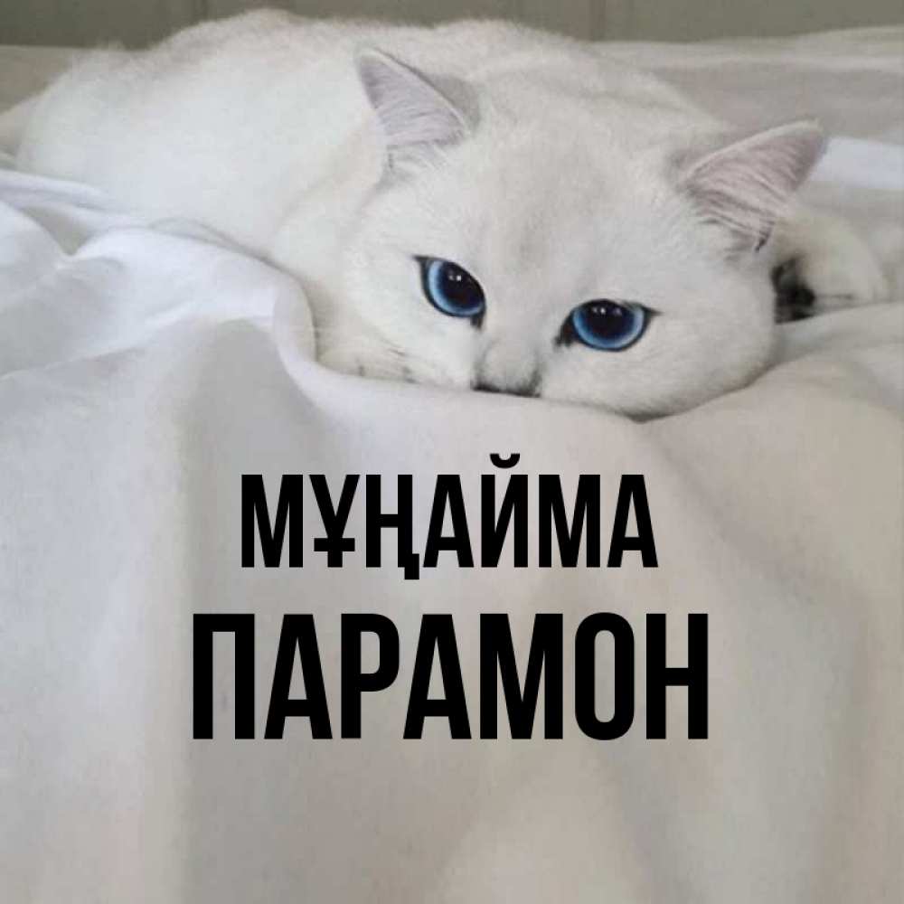Күн сайын ашық хат с именем, Парамон Мұңайма Голубоглазая кошка Онлайн тегін жүктеп алу тілектері бар керемет карта 