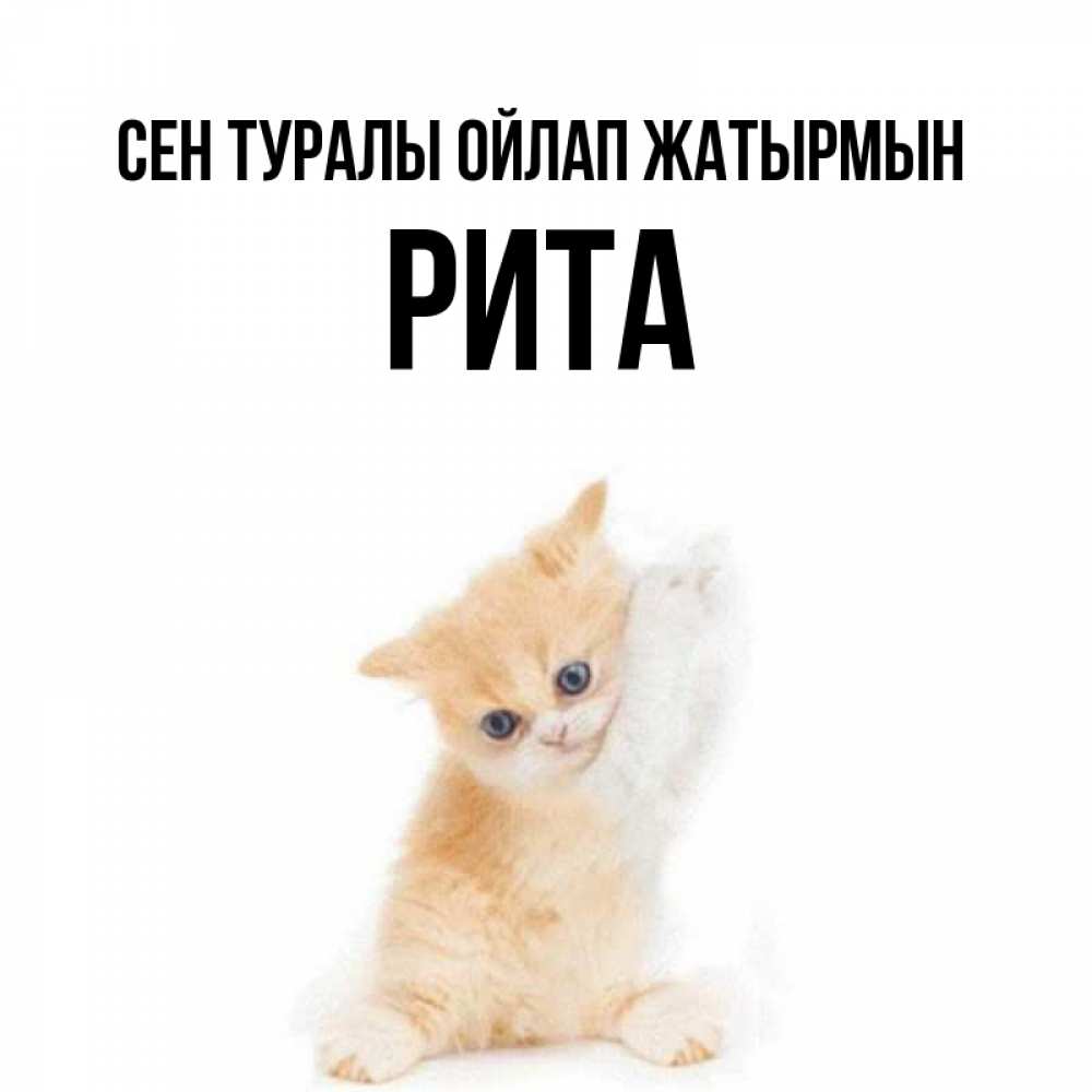Күн сайын ашық хат с именем, Рита Сен туралы ойлап жатырмын зверушки и милота Онлайн тегін жүктеп алу тілектері бар керемет карта 