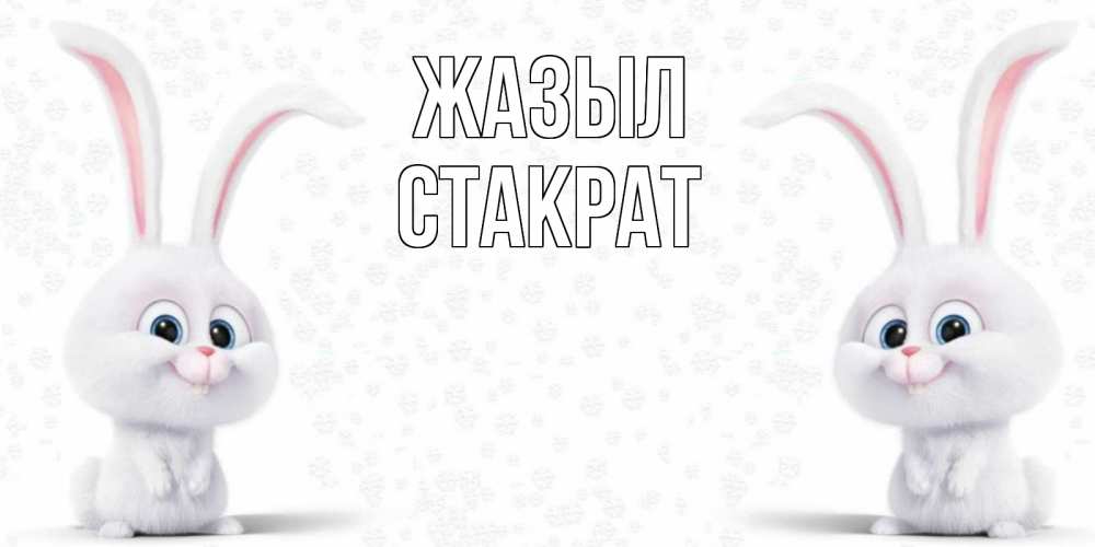 Күн сайын ашық хат с именем, Стакрат Жазыл не болей с зайцем Онлайн тегін жүктеп алу тілектері бар керемет карта 