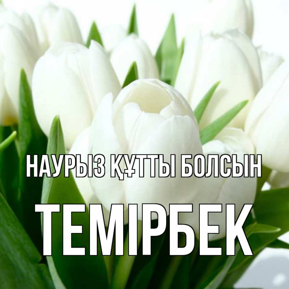 Күн сайын ашық хат с именем, ТЕМІРБЕК Наурыз құтты болсын цветы Онлайн тегін жүктеп алу тілектері бар керемет карта 