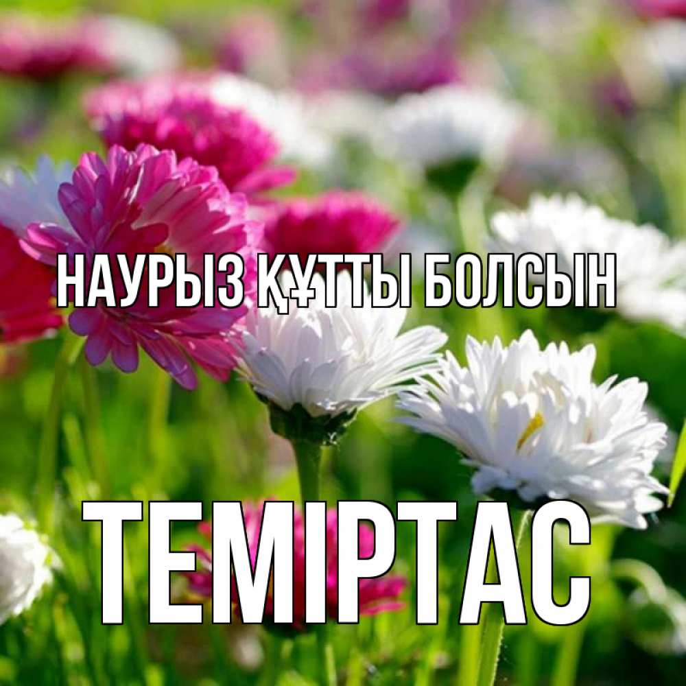 Күн сайын ашық хат с именем, ТЕМІРТАС Наурыз құтты болсын наурыз Онлайн тегін жүктеп алу тілектері бар керемет карта 