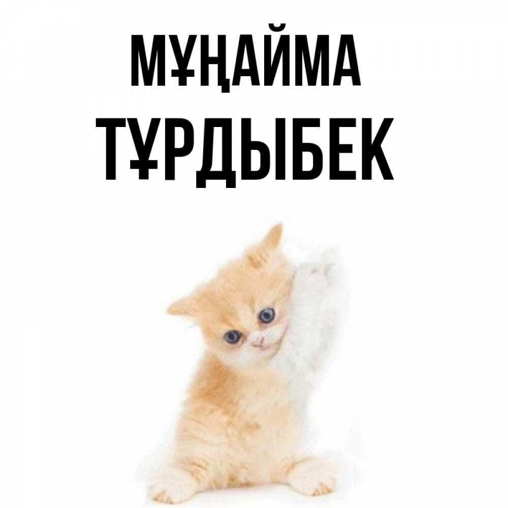Күн сайын ашық хат с именем, ТҰРДЫБЕК Мұңайма просящий кот Онлайн тегін жүктеп алу тілектері бар керемет карта 