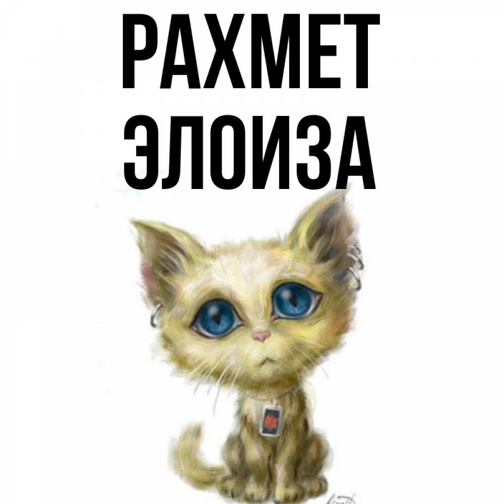 Күн сайын ашық хат с именем, Элоиза рахмет рисованный кот благодарит вас Онлайн тегін жүктеп алу тілектері бар керемет карта 