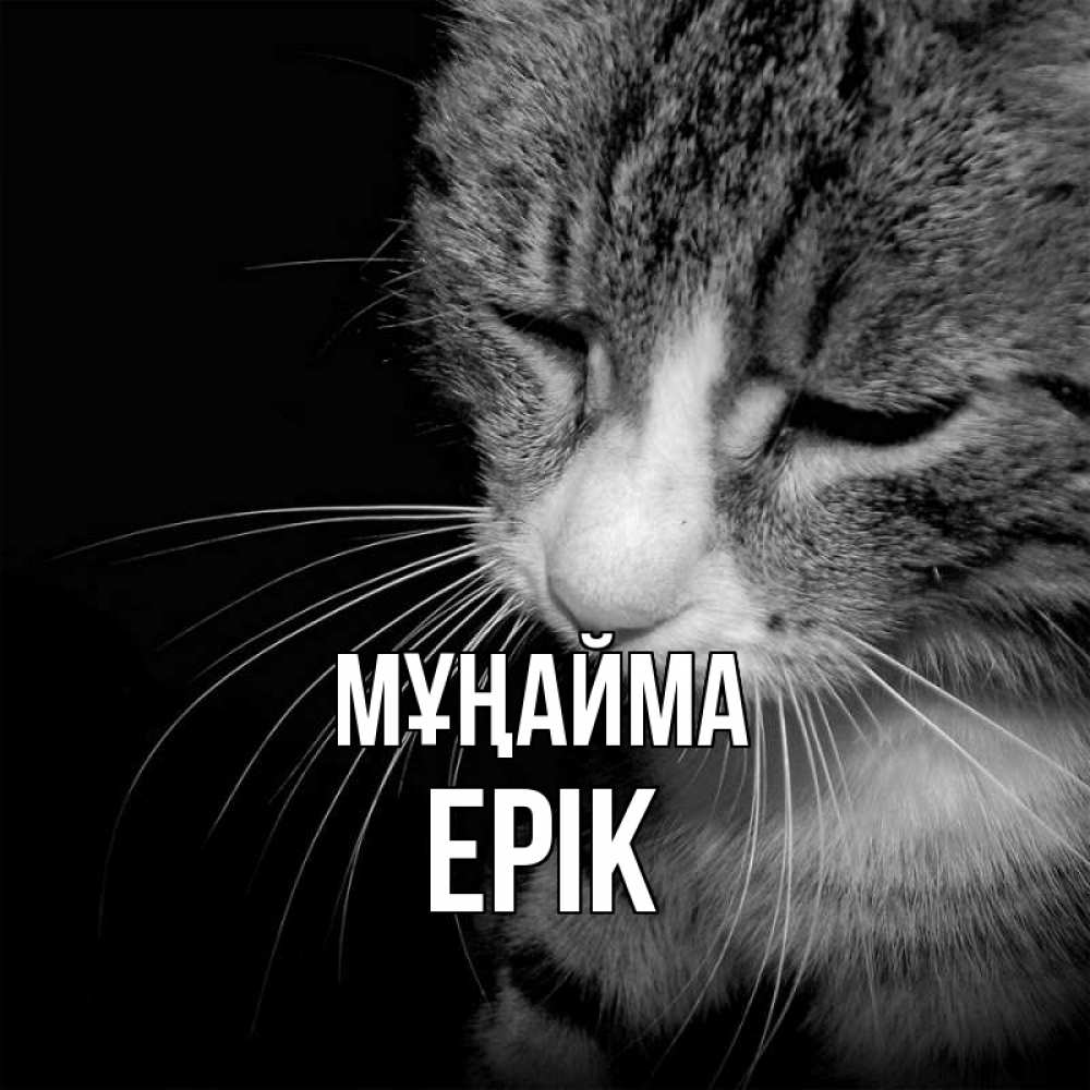 Күн сайын ашық хат с именем, Ерік Мұңайма грустный котик Онлайн тегін жүктеп алу тілектері бар керемет карта 