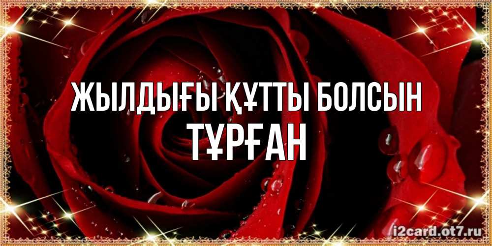 Күн сайын ашық хат с именем, ТҰРҒАН Жылдығы құтты болсын цветок в росе на день рождения Онлайн тегін жүктеп алу тілектері бар керемет карта 