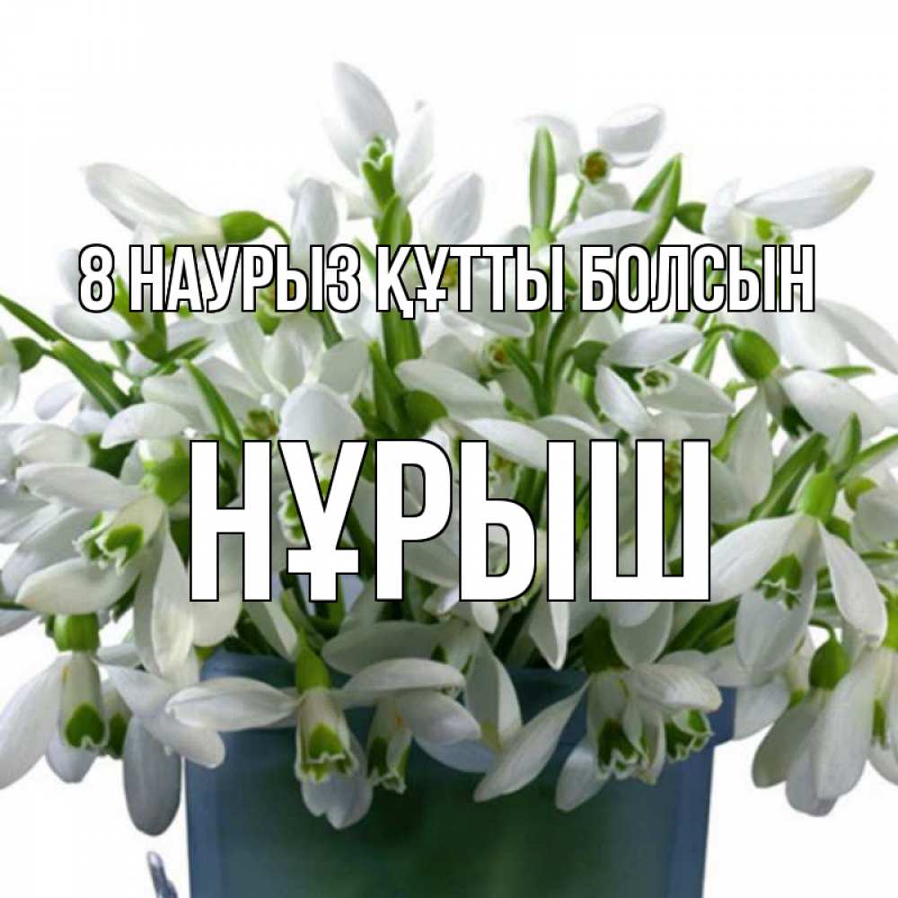 Күн сайын ашық хат с именем, Нұрыш 8 наурыз құтты болсын цветы к международному женскому дню Онлайн тегін жүктеп алу тілектері бар керемет карта 