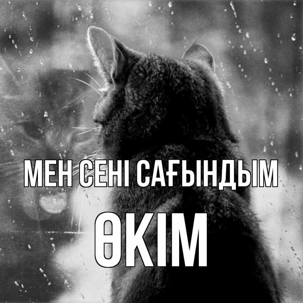 Күн сайын ашық хат с именем, ӨКІМ Мен сені сағындым скорее ко мне приходи 1 Онлайн тегін жүктеп алу тілектері бар керемет карта 