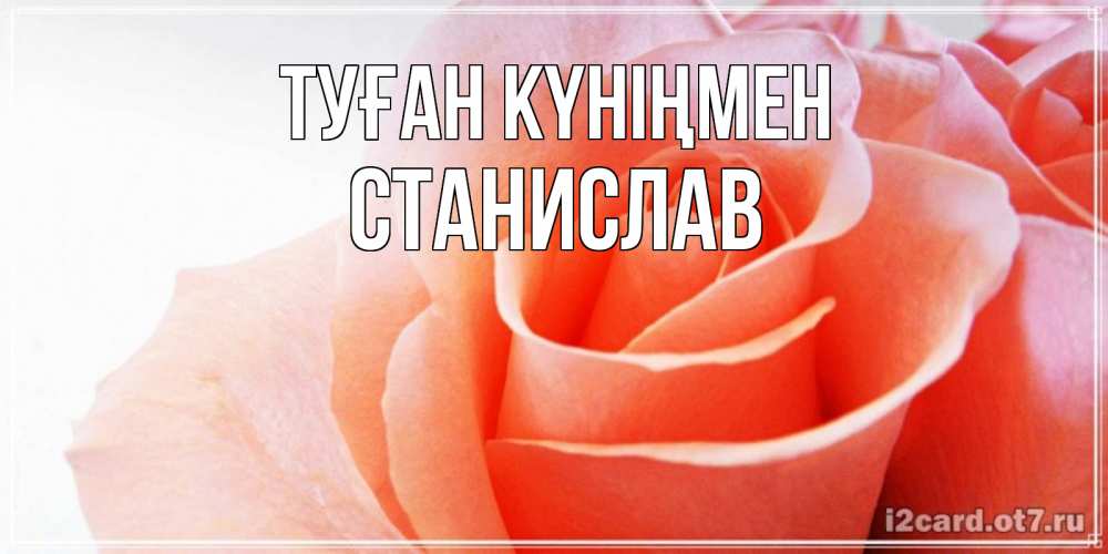 Күн сайын ашық хат с именем, Станислав Туған күніңмен розы для поздравления с днем рождения Онлайн тегін жүктеп алу тілектері бар керемет карта 