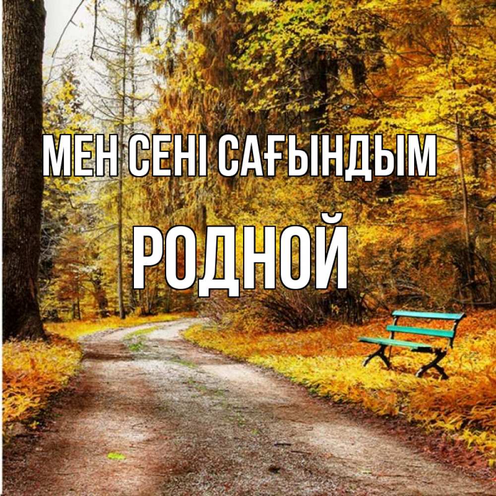 Күн сайын ашық хат с именем, Родной Мен сені сағындым зеленая лавочка и осенний лес Онлайн тегін жүктеп алу тілектері бар керемет карта 