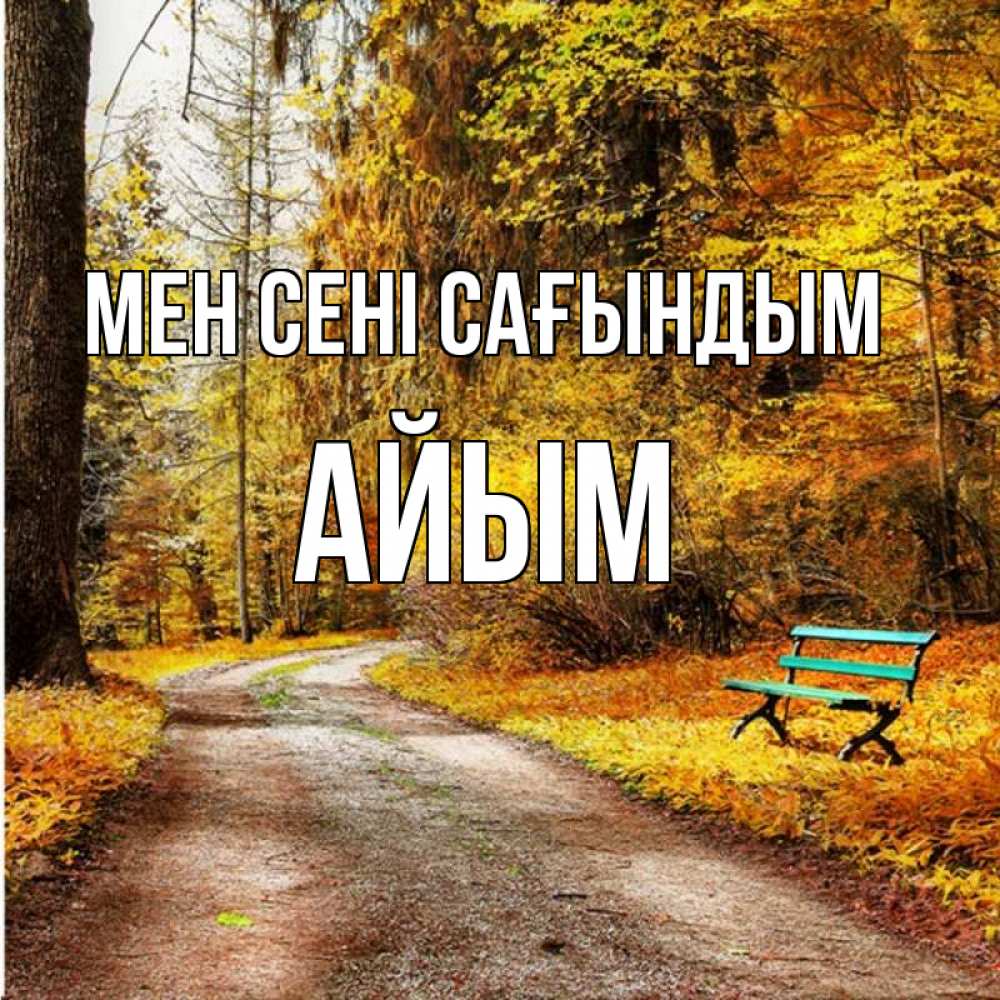 Күн сайын ашық хат с именем, АЙЫМ Мен сені сағындым зеленая лавочка и осенний лес Онлайн тегін жүктеп алу тілектері бар керемет карта 