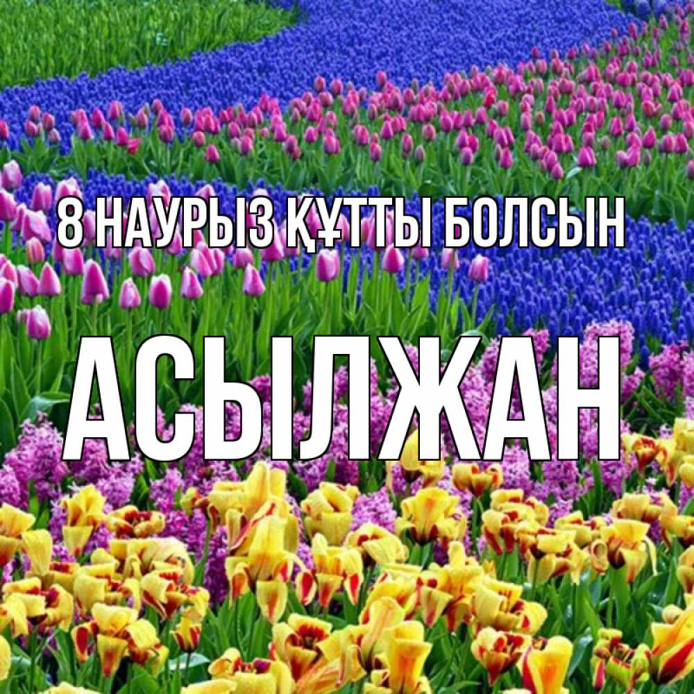 Күн сайын ашық хат с именем, Асылжан 8 наурыз құтты болсын цветы Онлайн тегін жүктеп алу тілектері бар керемет карта 