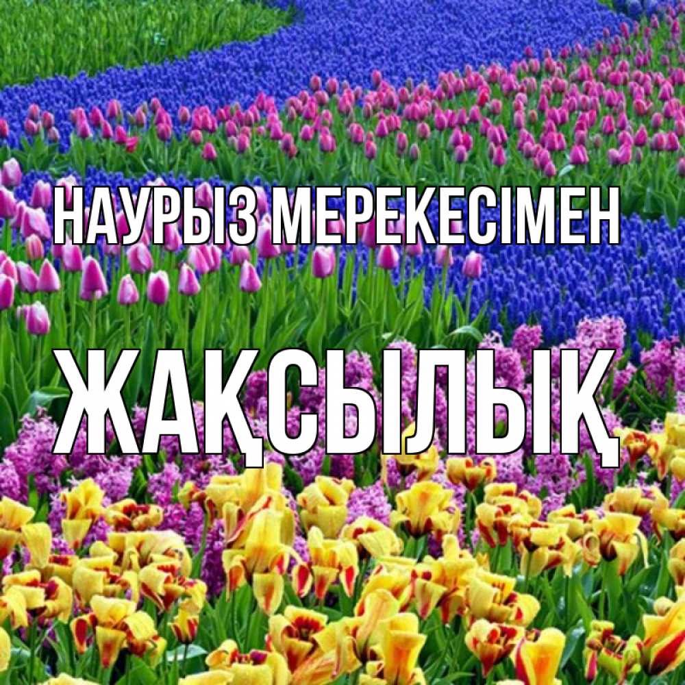 Күн сайын ашық хат с именем, Жақсылық Наурыз мерекесімен цветы Онлайн тегін жүктеп алу тілектері бар керемет карта 