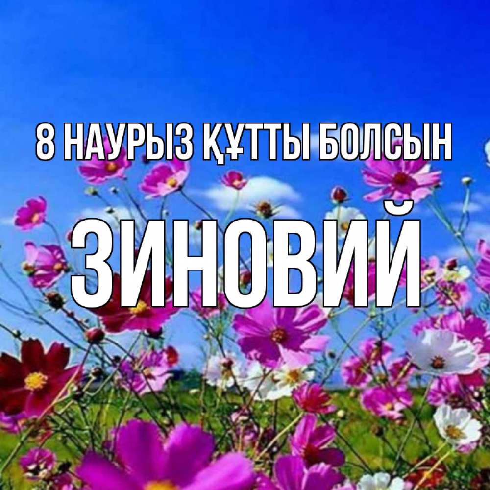 Күн сайын ашық хат с именем, Зиновий 8 наурыз құтты болсын цветы Онлайн тегін жүктеп алу тілектері бар керемет карта 