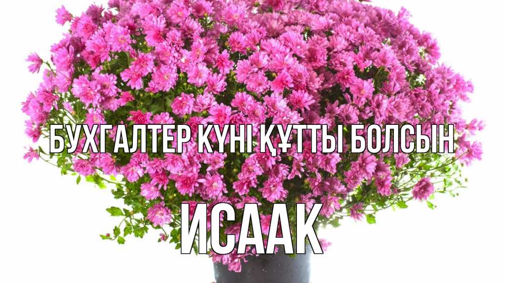 Күн сайын ашық хат с именем, Исаак бухгалтер күні құтты болсын с днем бухгалтера Онлайн тегін жүктеп алу тілектері бар керемет карта 