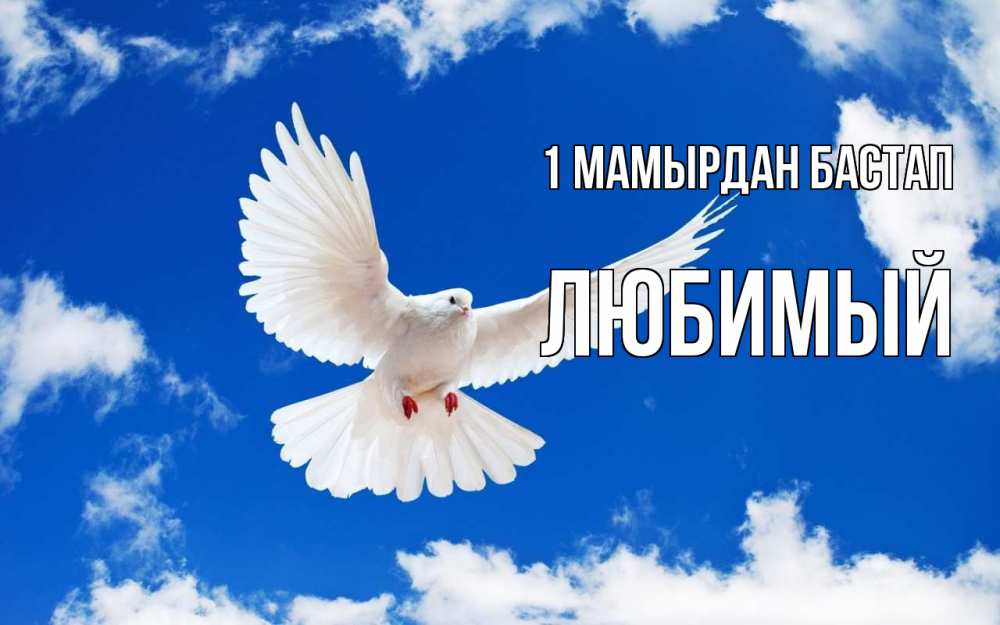 Күн сайын ашық хат с именем, Любимый 1 мамырдан бастап С 1 мая 1 Онлайн тегін жүктеп алу тілектері бар керемет карта 