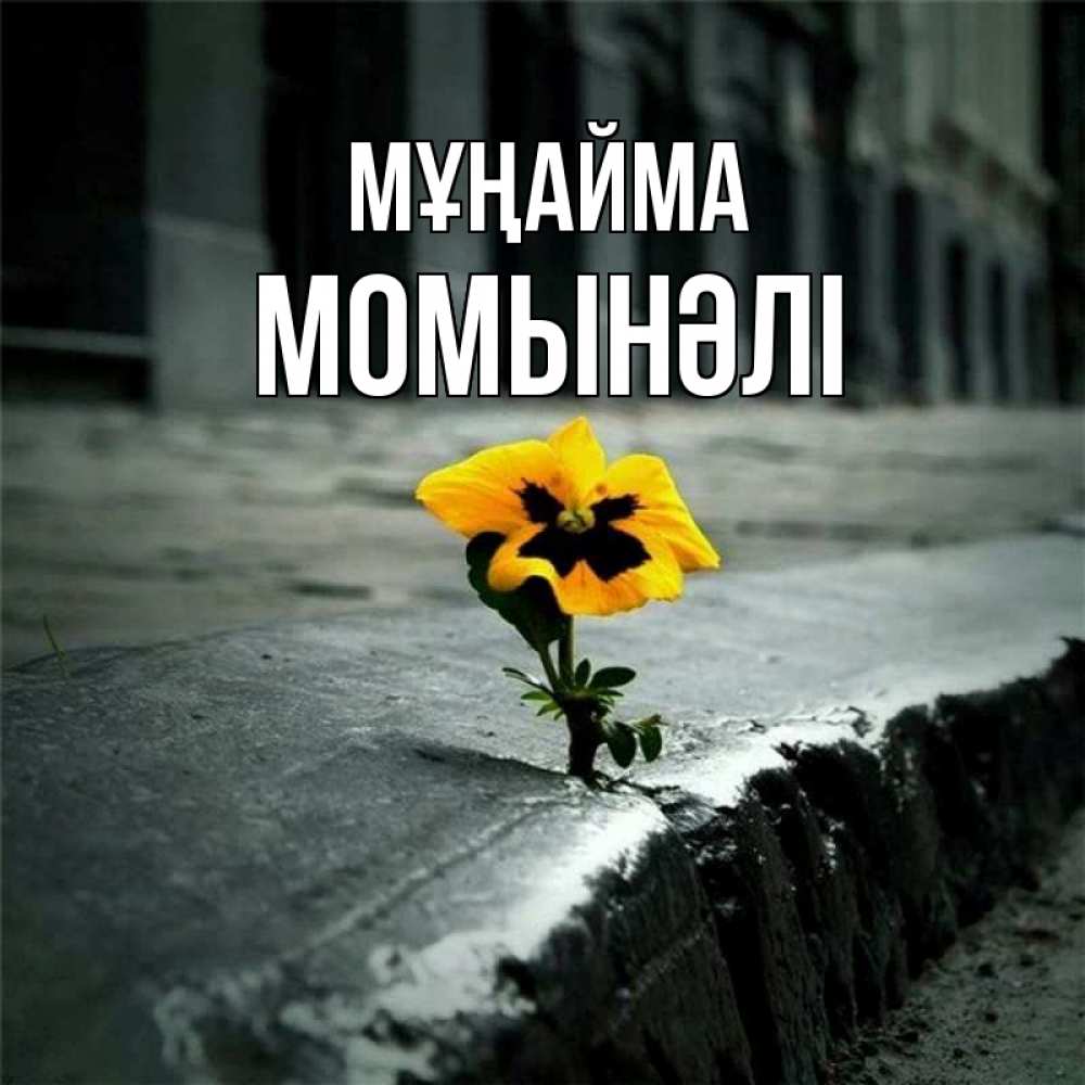 Күн сайын ашық хат с именем, МОМЫНӘЛІ Мұңайма не сдавайся Онлайн тегін жүктеп алу тілектері бар керемет карта 