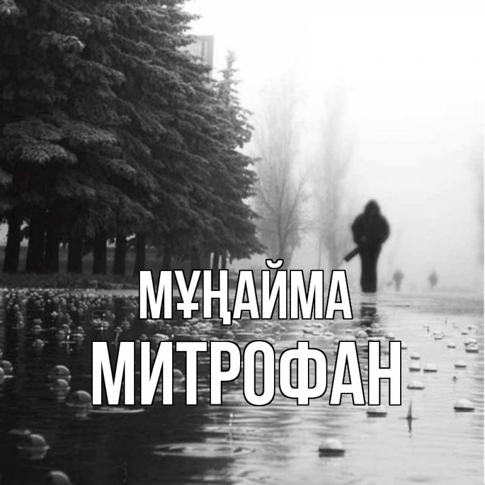 Күн сайын ашық хат с именем, Митрофан Мұңайма улица под дождем Онлайн тегін жүктеп алу тілектері бар керемет карта 