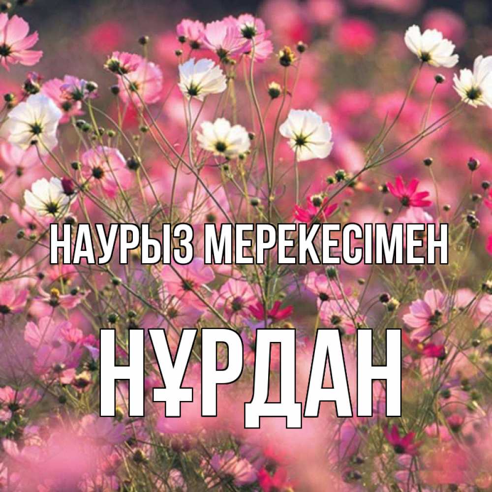 Күн сайын ашық хат с именем, НҰРДАН Наурыз мерекесімен красиво 1 Онлайн тегін жүктеп алу тілектері бар керемет карта 