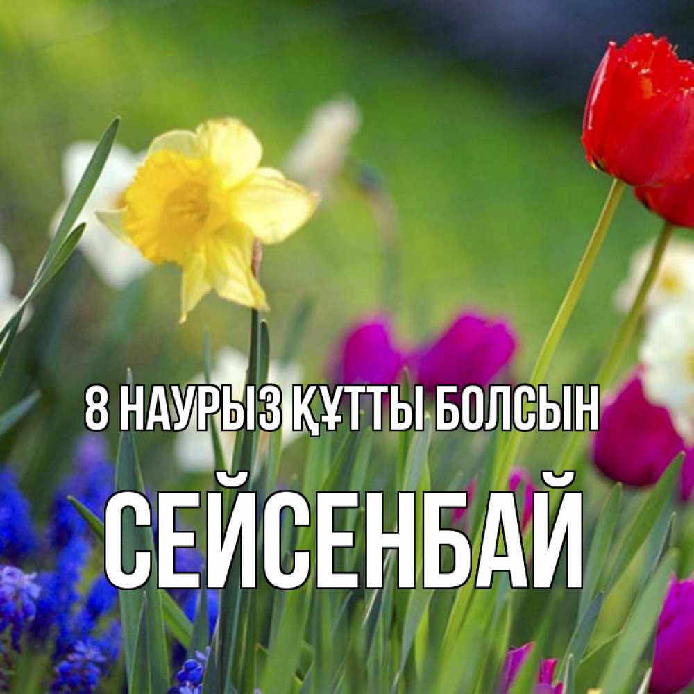 Күн сайын ашық хат с именем, СЕЙСЕНБАЙ 8 наурыз құтты болсын международный женский день 3 Онлайн тегін жүктеп алу тілектері бар керемет карта 