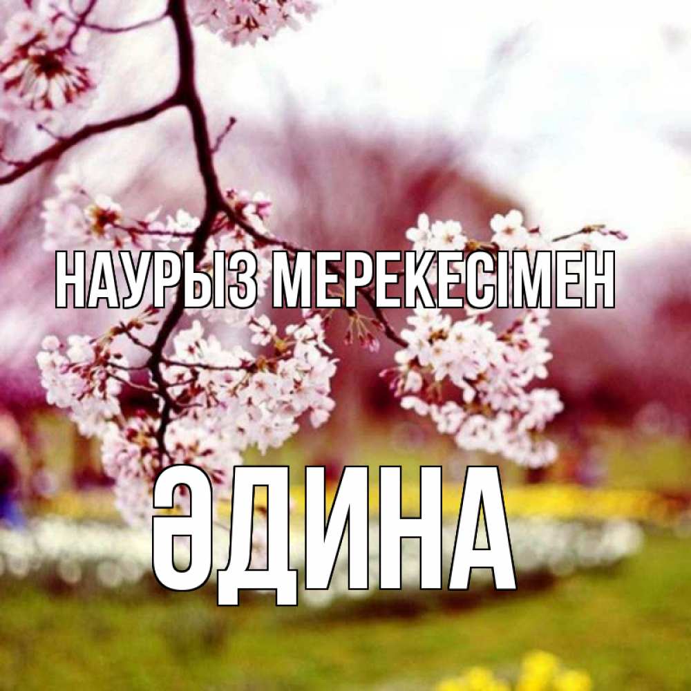 Күн сайын ашық хат с именем, ӘДИНА Наурыз мерекесімен яблоня Онлайн тегін жүктеп алу тілектері бар керемет карта 