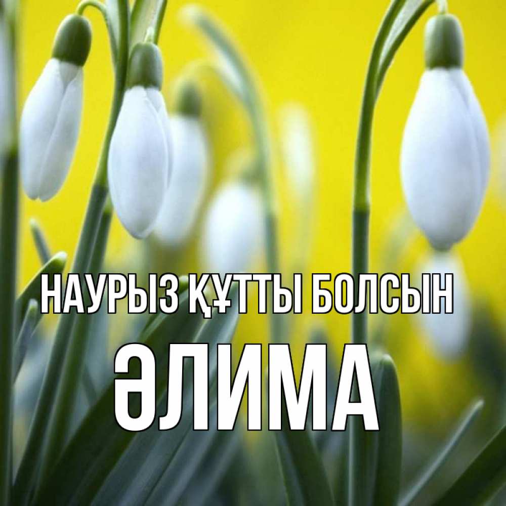 Күн сайын ашық хат с именем, ӘЛИМА Наурыз құтты болсын весенние цветы Онлайн тегін жүктеп алу тілектері бар керемет карта 