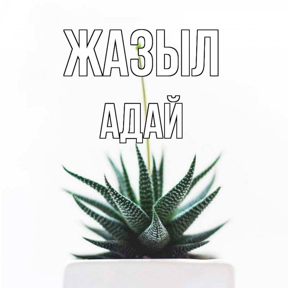 Күн сайын ашық хат с именем, Адай Жазыл короче это непонятная колючка Онлайн тегін жүктеп алу тілектері бар керемет карта 
