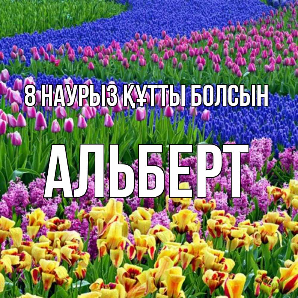 Күн сайын ашық хат с именем, Альберт 8 наурыз құтты болсын цветы Онлайн тегін жүктеп алу тілектері бар керемет карта 