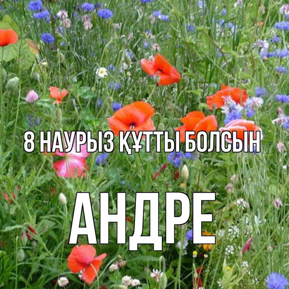 Күн сайын ашық хат с именем, Андре 8 наурыз құтты болсын международный женский день 4 Онлайн тегін жүктеп алу тілектері бар керемет карта 