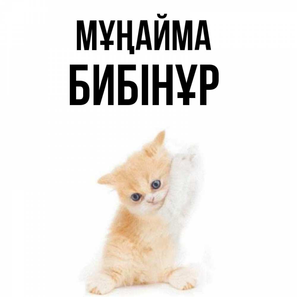 Күн сайын ашық хат с именем, БИБІНҰР Мұңайма просящий кот Онлайн тегін жүктеп алу тілектері бар керемет карта 