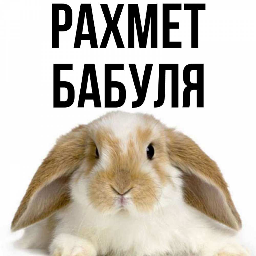 Күн сайын ашық хат с именем, Бабуля рахмет коричнево белый заяц Онлайн тегін жүктеп алу тілектері бар керемет карта 