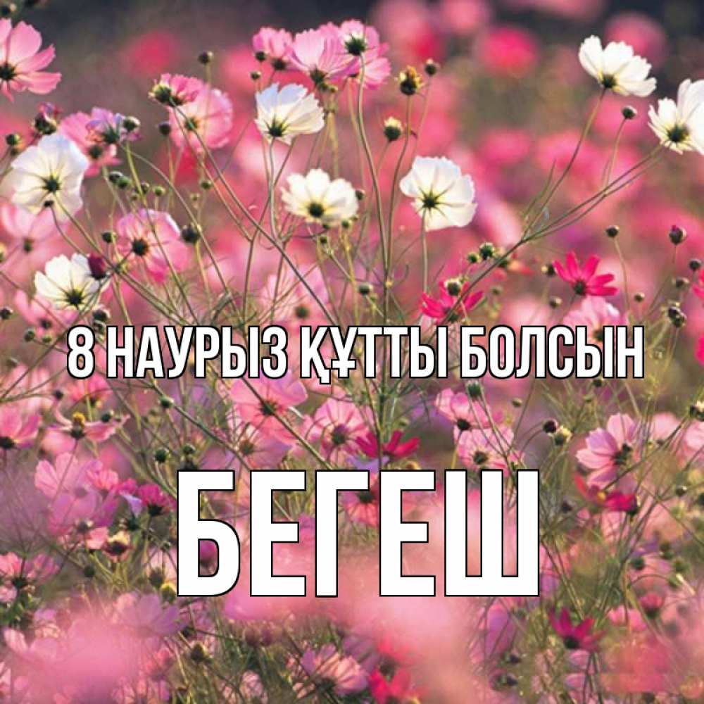 Күн сайын ашық хат с именем, Бегеш 8 наурыз құтты болсын красиво 1 Онлайн тегін жүктеп алу тілектері бар керемет карта 