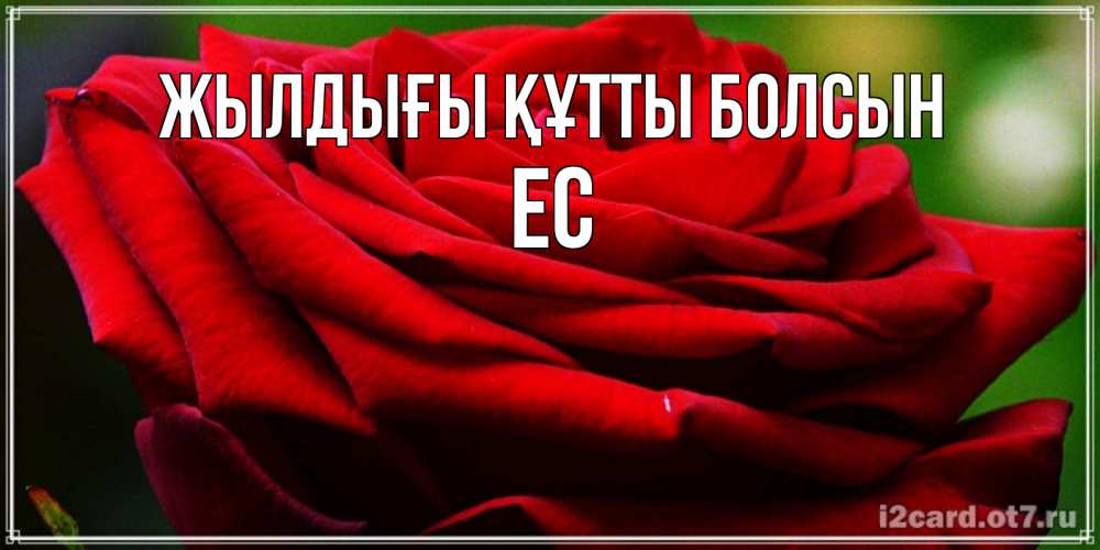 Күн сайын ашық хат с именем, Ес Жылдығы құтты болсын розочка очень красивая Онлайн тегін жүктеп алу тілектері бар керемет карта 