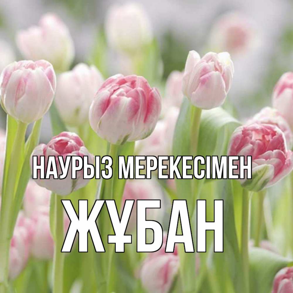 Күн сайын ашық хат с именем, Жұбан Наурыз мерекесімен цветы Онлайн тегін жүктеп алу тілектері бар керемет карта 