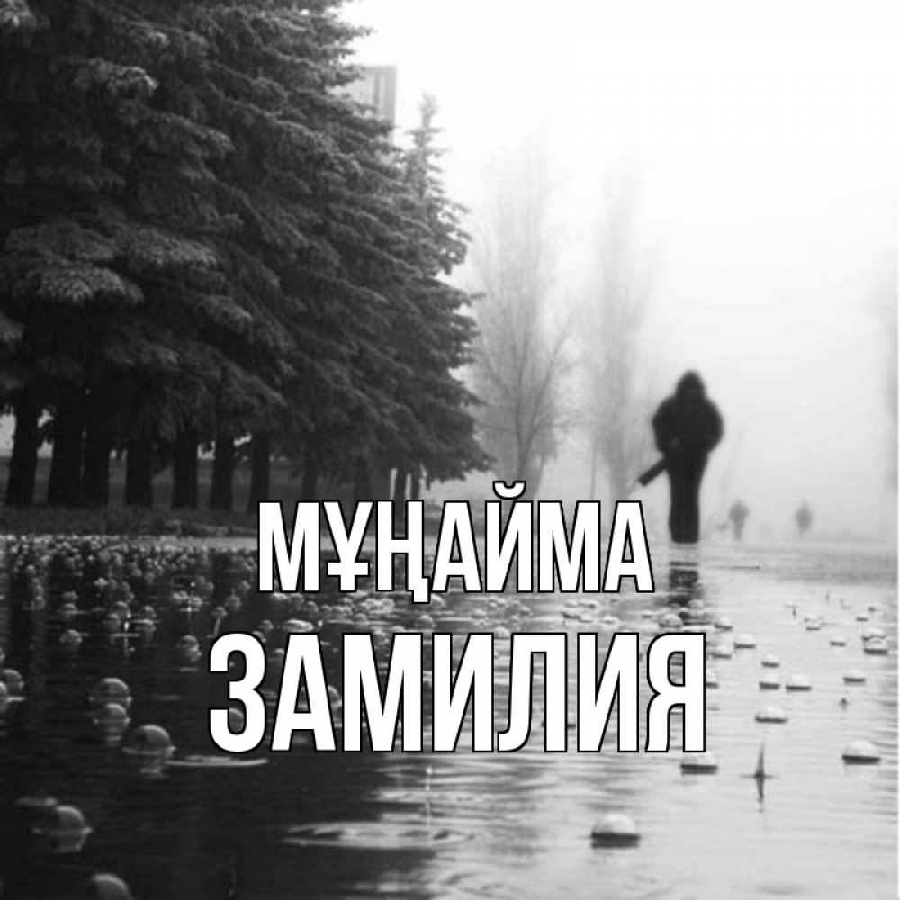 Күн сайын ашық хат с именем, ЗАМИЛИЯ Мұңайма улица под дождем Онлайн тегін жүктеп алу тілектері бар керемет карта 