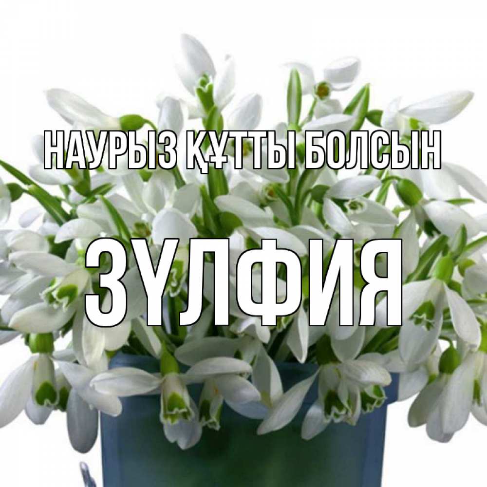 Күн сайын ашық хат с именем, ЗҮЛФИЯ Наурыз құтты болсын цветы к наурызу Онлайн тегін жүктеп алу тілектері бар керемет карта 