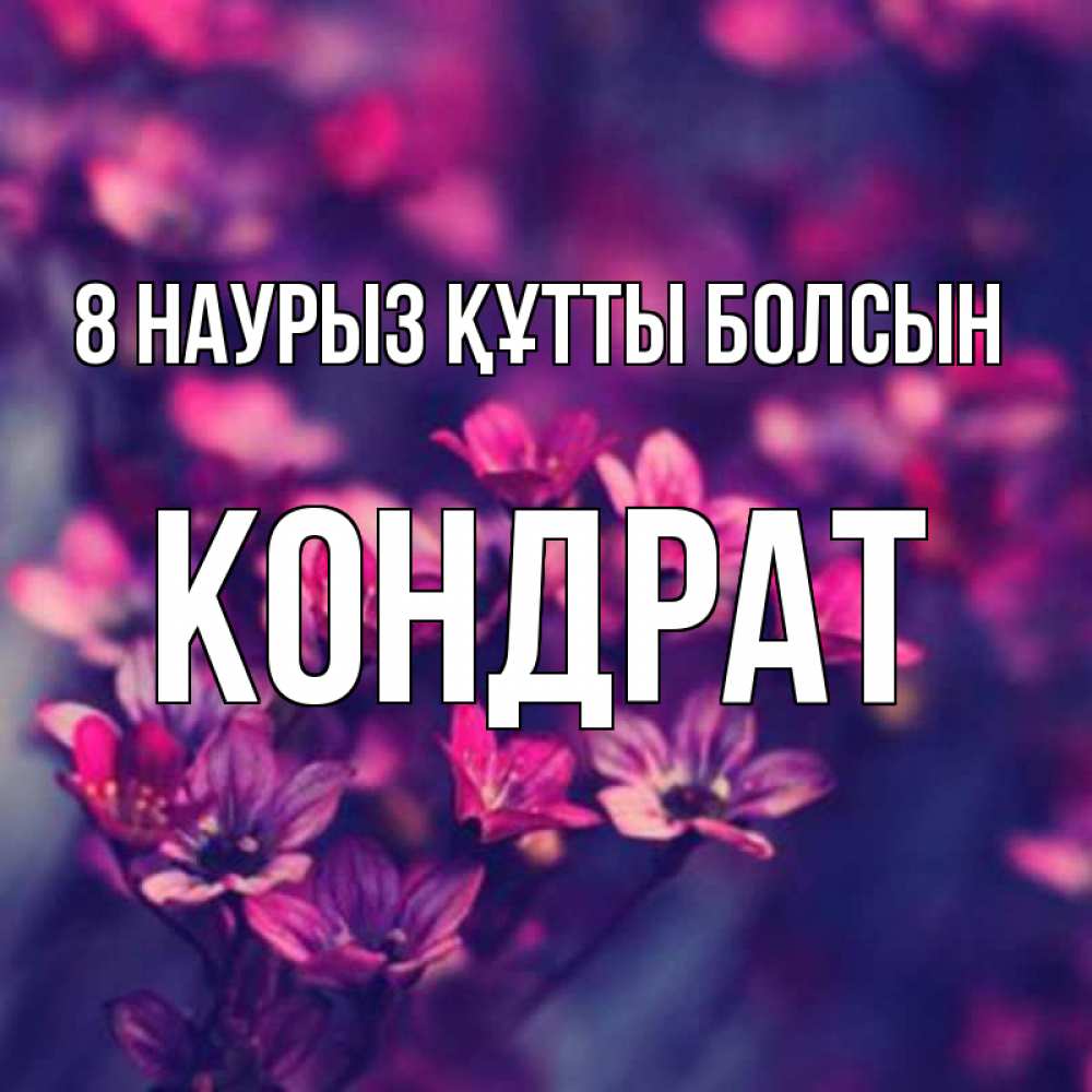 Күн сайын ашық хат с именем, Кондрат 8 наурыз құтты болсын небольшие цветы 1 Онлайн тегін жүктеп алу тілектері бар керемет карта 