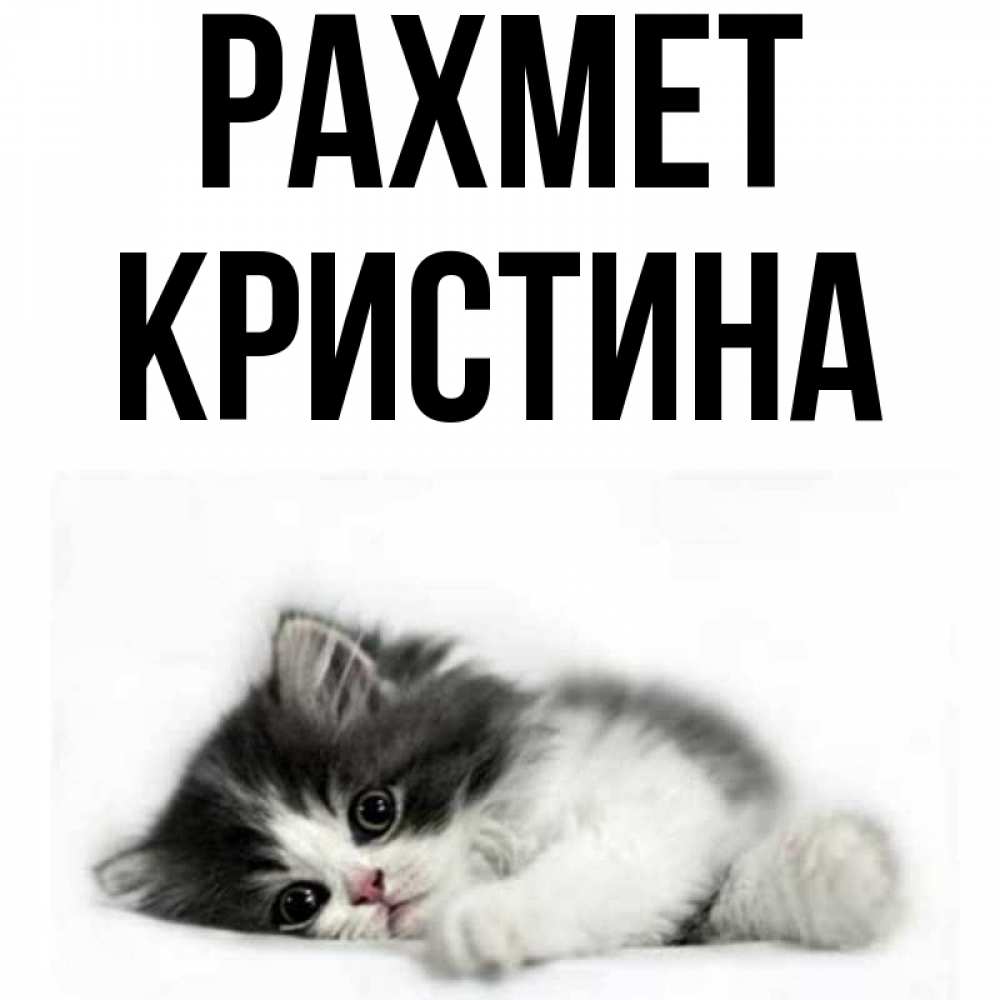 Күн сайын ашық хат с именем, Кристина рахмет черный и белый кот Онлайн тегін жүктеп алу тілектері бар керемет карта 