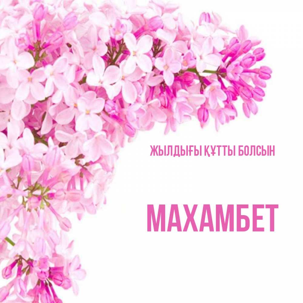 Күн сайын ашық хат с именем, МАХАМБЕТ Жылдығы құтты болсын Сирень на белом фоне Онлайн тегін жүктеп алу тілектері бар керемет карта 