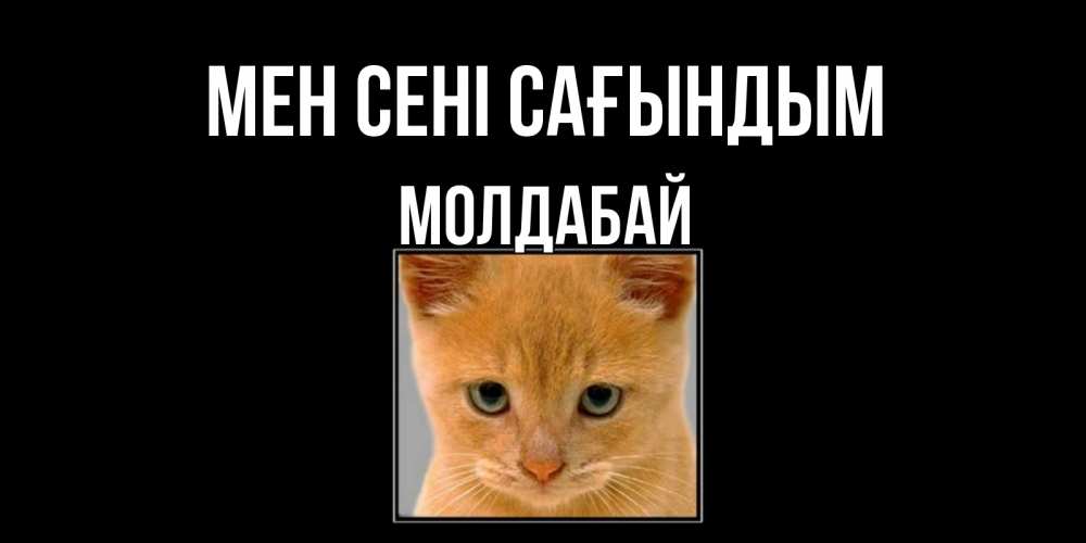 Күн сайын ашық хат с именем, МОЛДАБАЙ Мен сені сағындым открытки рыжий котенок скучает по тебе Онлайн тегін жүктеп алу тілектері бар керемет карта 