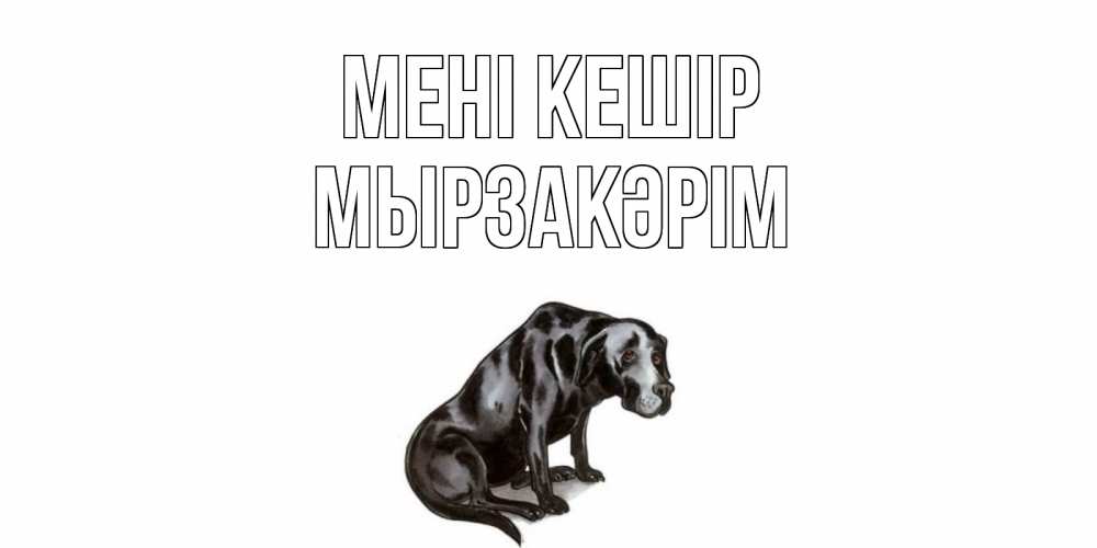Күн сайын ашық хат с именем, Мырзакәрім Мені кешір грустная собака на открытке с подписью прости меня Онлайн тегін жүктеп алу тілектері бар керемет карта 