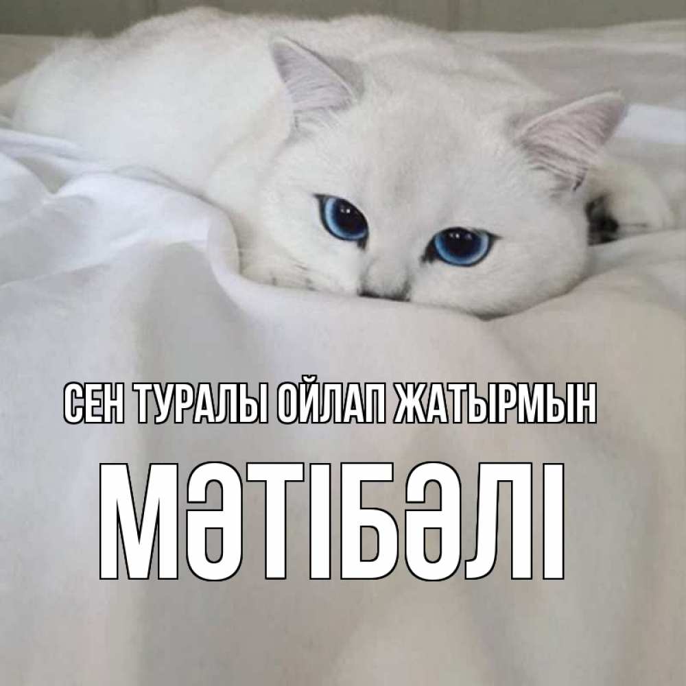 Күн сайын ашық хат с именем, МӘТІБӘЛІ Сен туралы ойлап жатырмын я очень по тебе скучаю и тоскую Онлайн тегін жүктеп алу тілектері бар керемет карта 