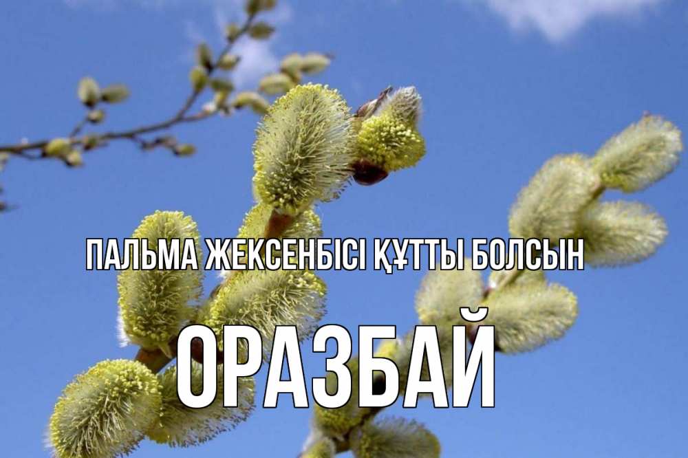 Күн сайын ашық хат с именем, ОРАЗБАЙ Пальма жексенбісі құтты болсын верба Онлайн тегін жүктеп алу тілектері бар керемет карта 