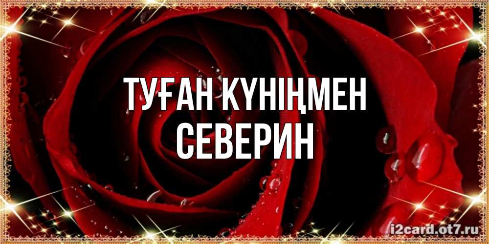 Күн сайын ашық хат с именем, Северин Туған күніңмен цветок в росе на день рождения Онлайн тегін жүктеп алу тілектері бар керемет карта 