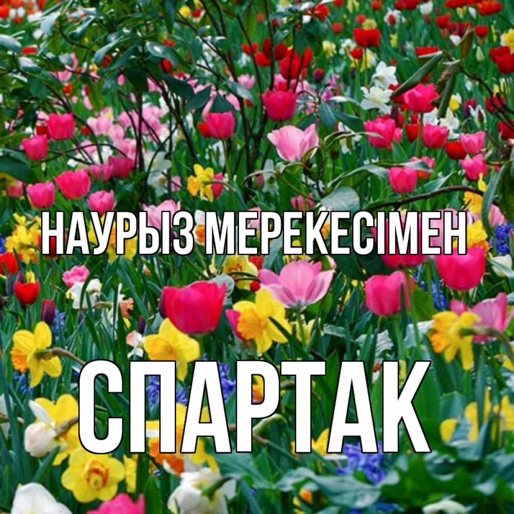 Күн сайын ашық хат с именем, Спартак Наурыз мерекесімен с наурызом праздником весны поздравления для женщины Онлайн тегін жүктеп алу тілектері бар керемет карта 
