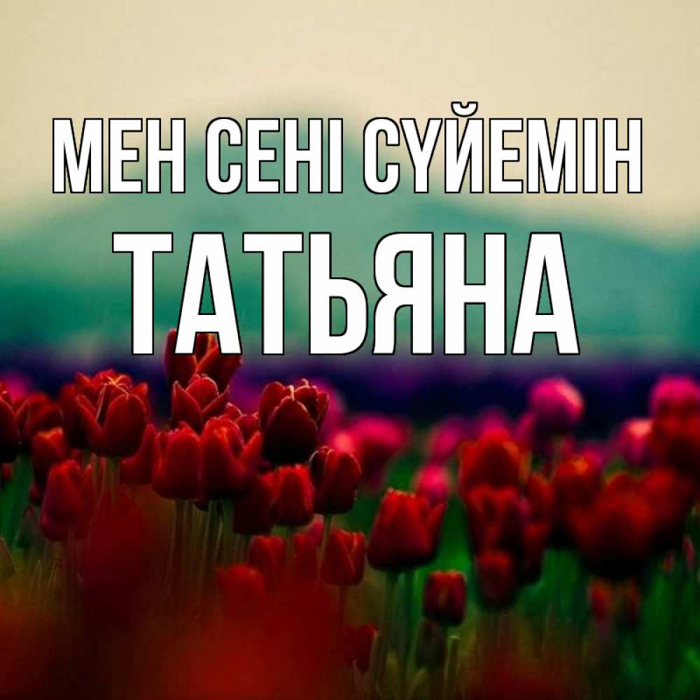 Күн сайын ашық хат с именем, Татьяна Мен сені сүйемін тюльпаны 4 Онлайн тегін жүктеп алу тілектері бар керемет карта 