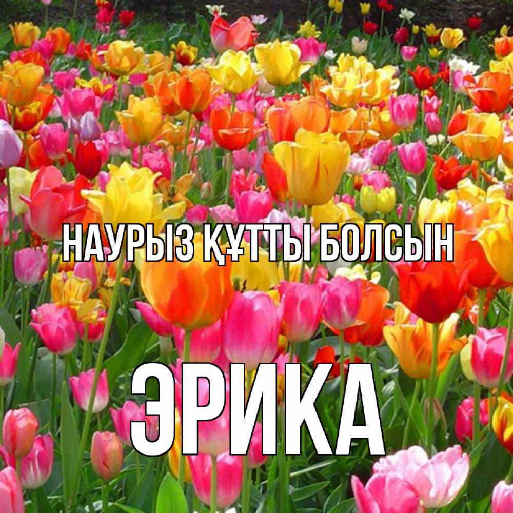 Күн сайын ашық хат с именем, Эрика Наурыз құтты болсын на наурыз  ура ура Онлайн тегін жүктеп алу тілектері бар керемет карта 