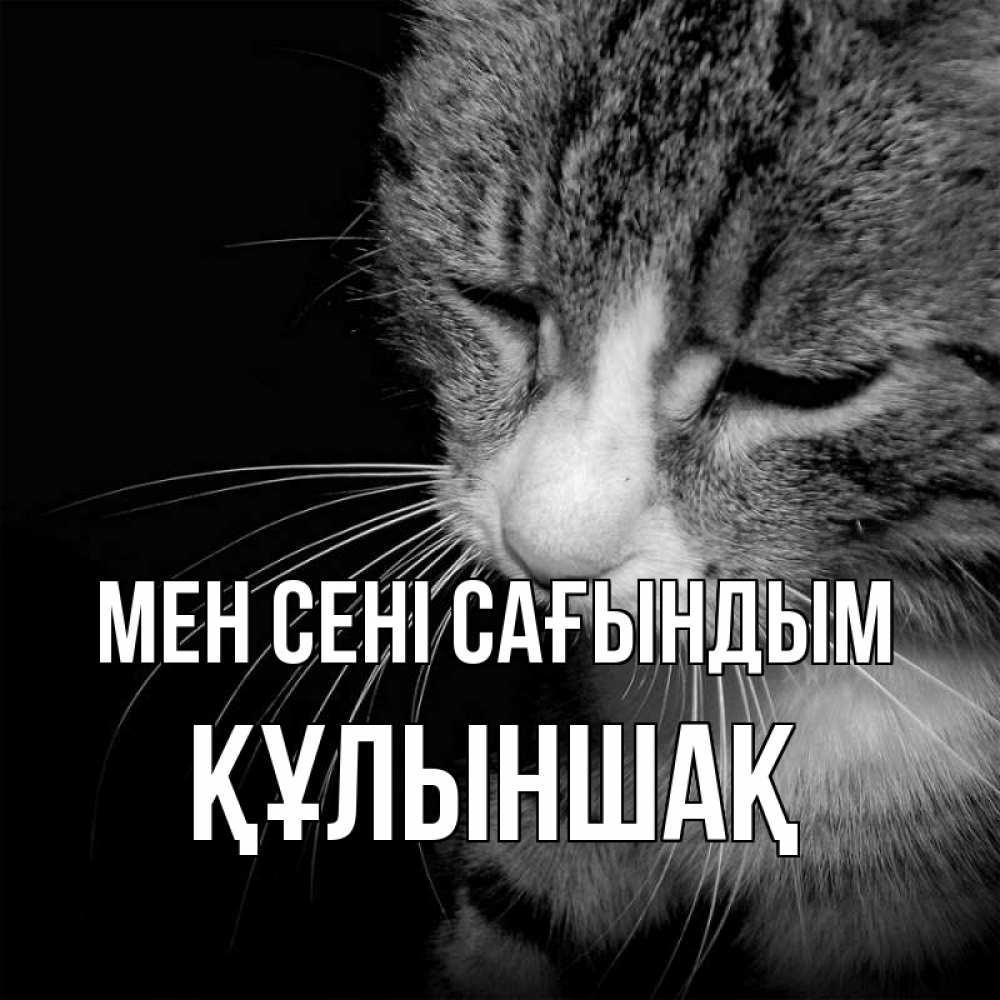 Күн сайын ашық хат с именем, ҚҰЛЫНШАҚ Мен сені сағындым мне скучно Онлайн тегін жүктеп алу тілектері бар керемет карта 