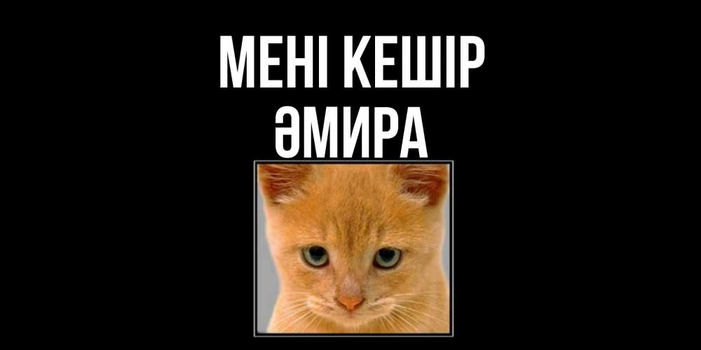 Күн сайын ашық хат с именем, ӘМИРА Мені кешір рыжий грустный кот просит прощения Онлайн тегін жүктеп алу тілектері бар керемет карта 